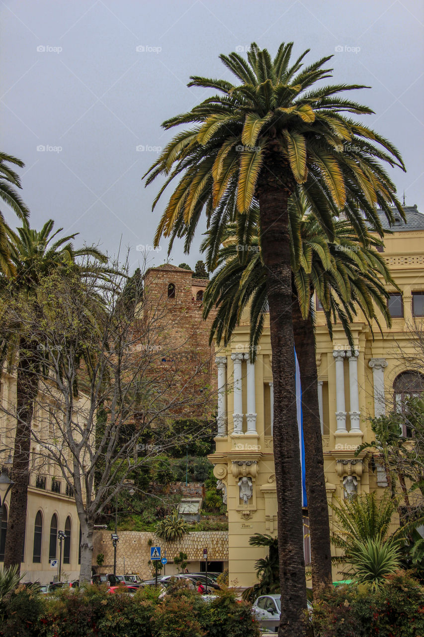 Streets of Malaga 