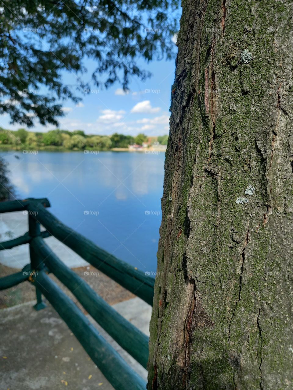 Enjoying the view from the shade