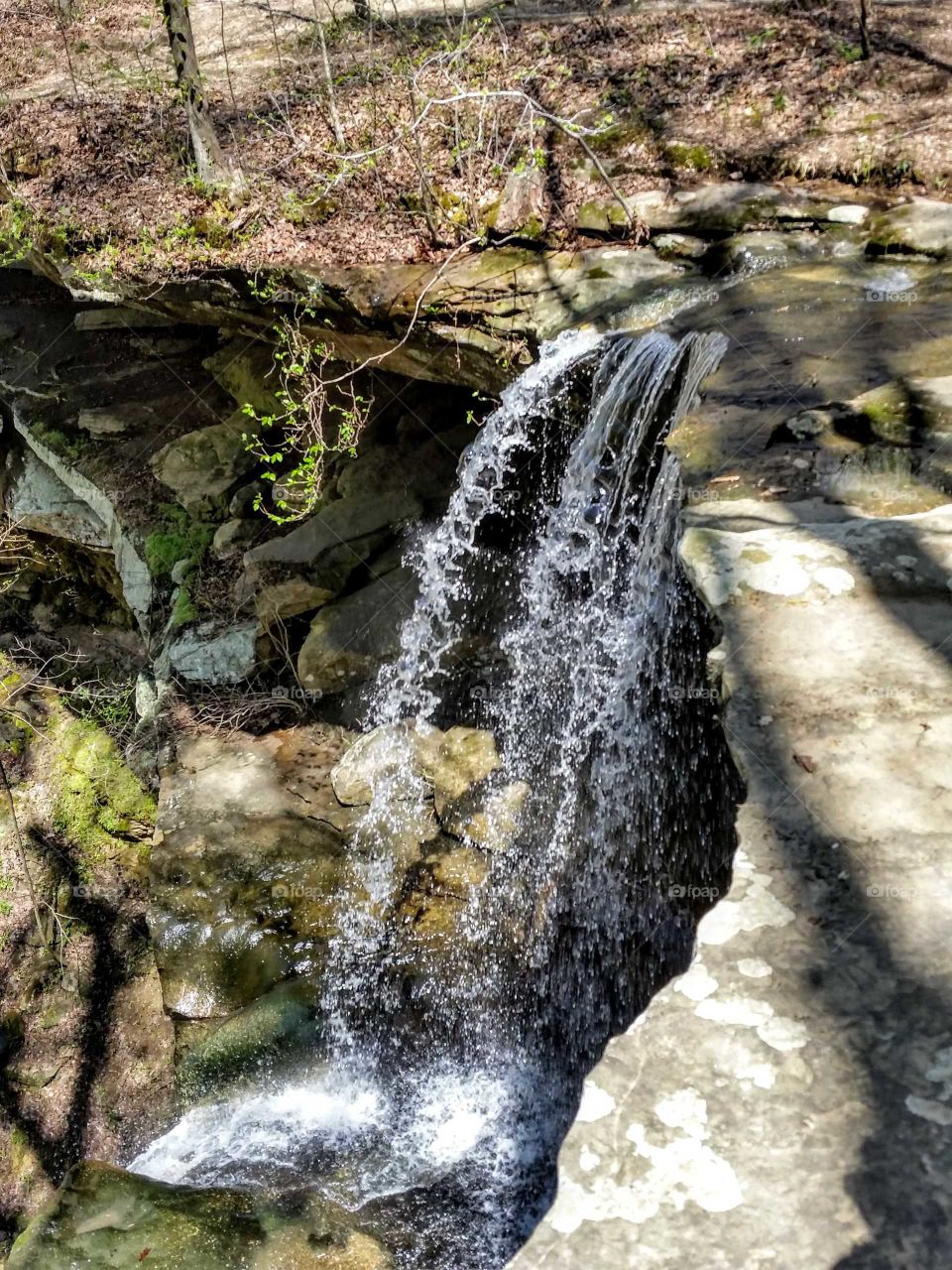 Waterfall in Preserve