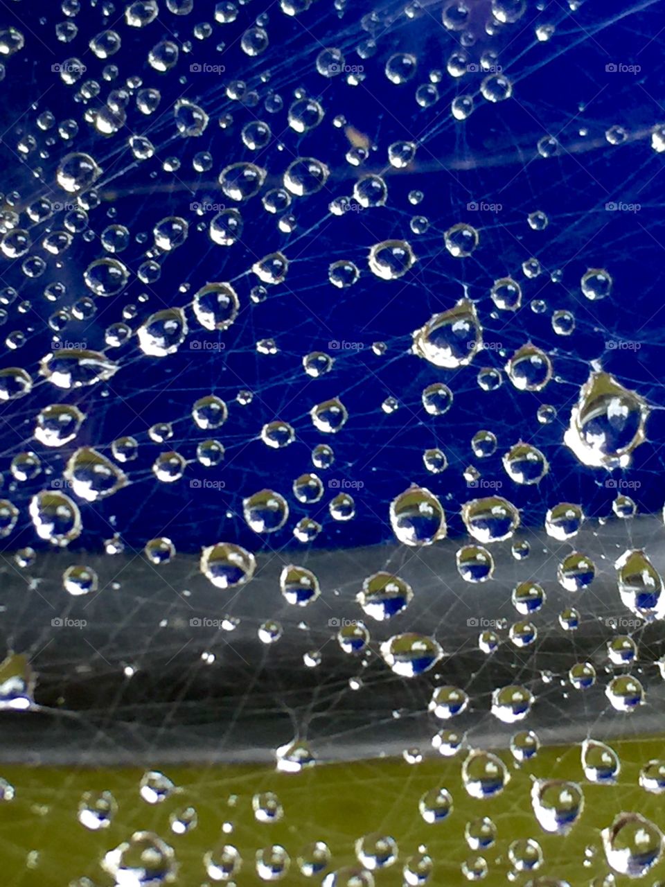 This was captured after the rain on a well constructed spider web showing each droplet that was suspended on the web
