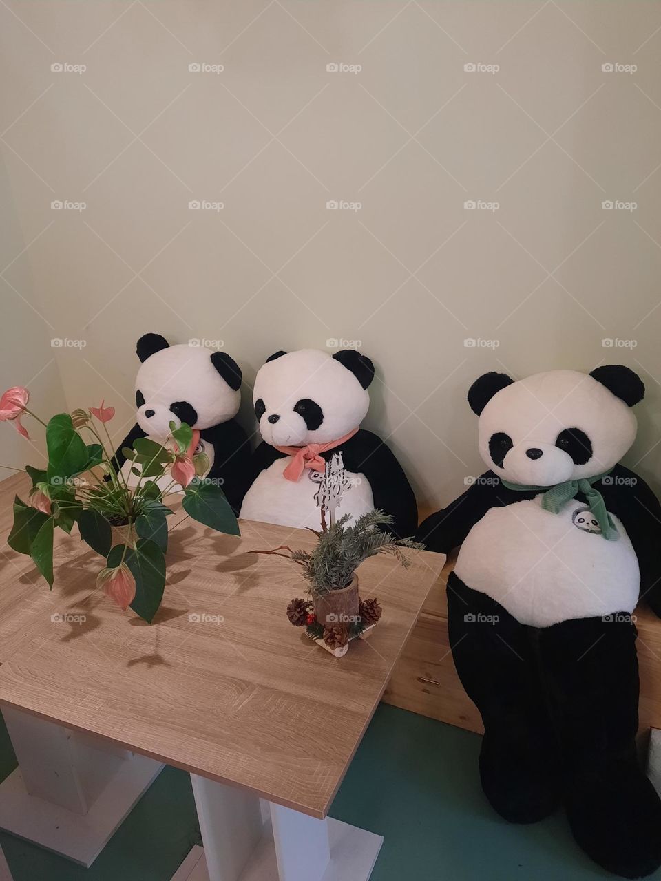 Panda's drinking tea
