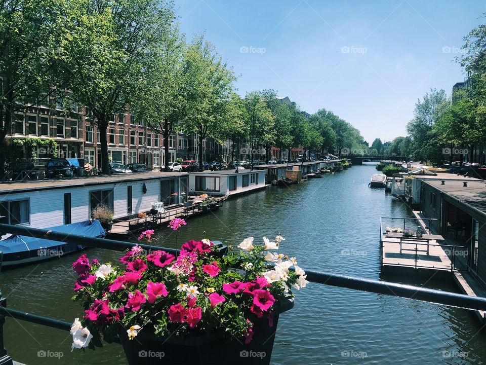 Amsterdam canal on a spring day