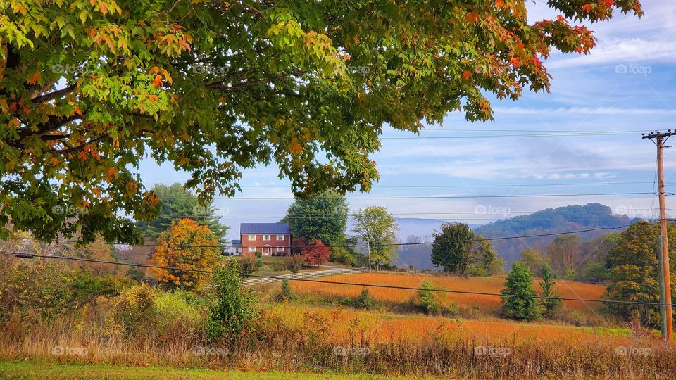 view from the front yard of my new home in Centerville, Virginia