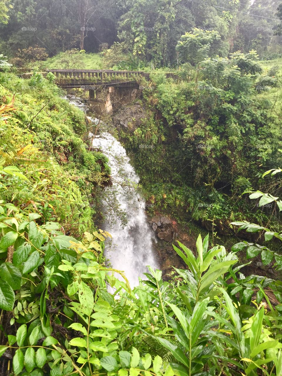 Hawaiian waterfall