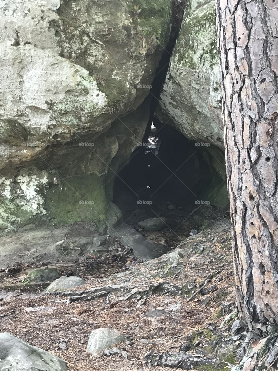 Cave at Robbers Cave State Park