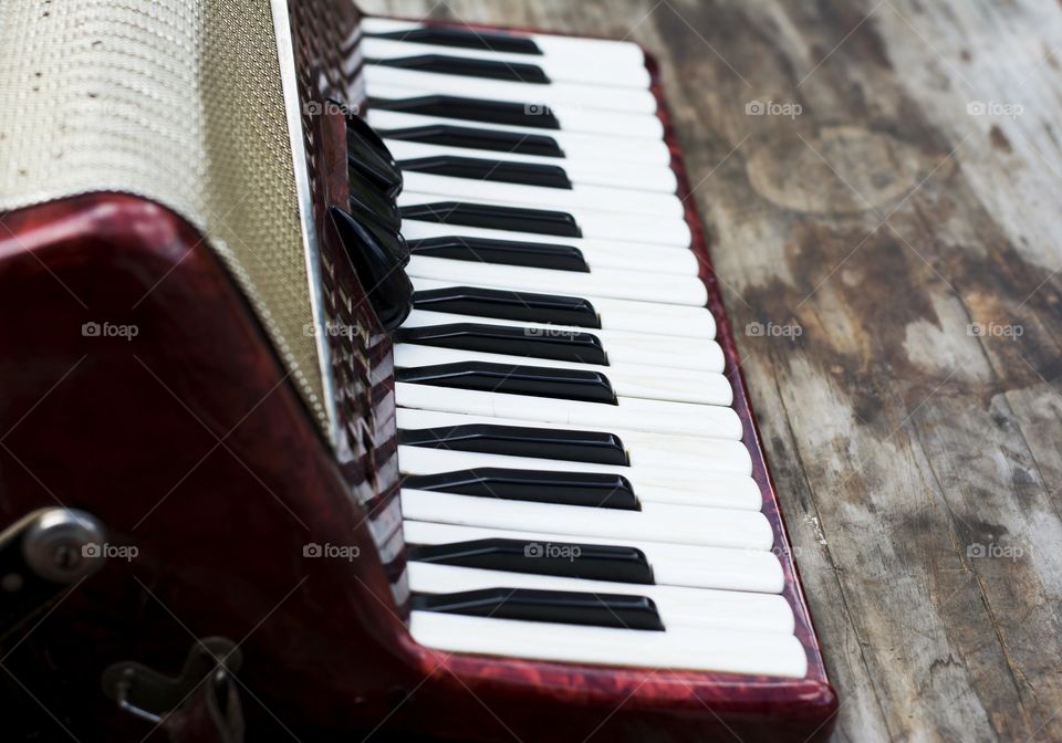 children accordian. keyboard on a children accordian