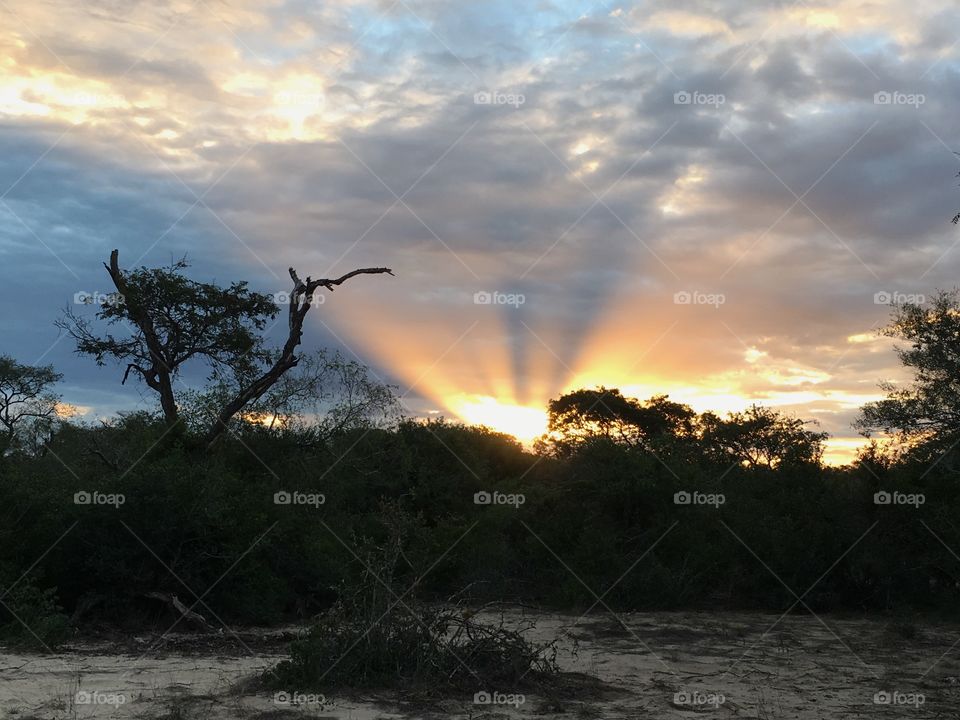 Sunset in Tembe National Park, South Africa 