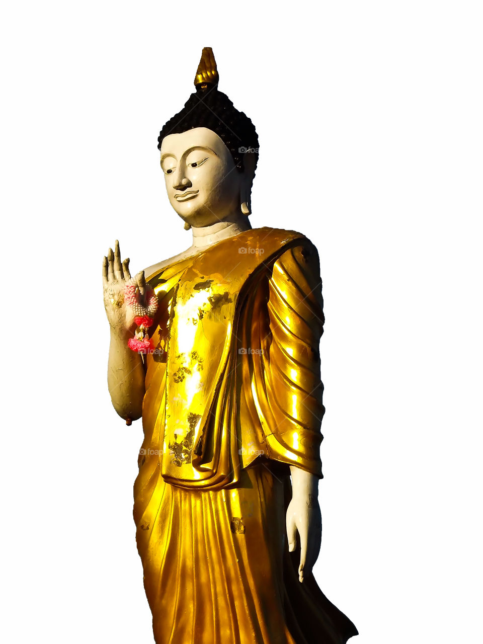 buddha image. buddha on isolated background