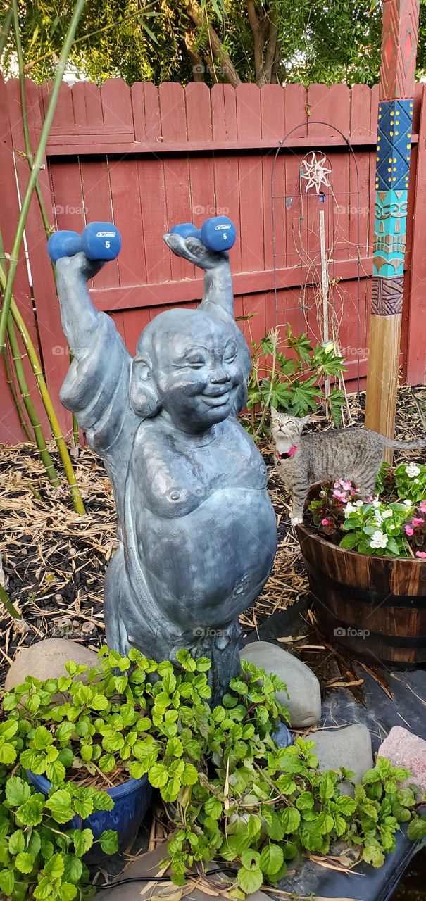 Even Buddha works out while kitty watches!