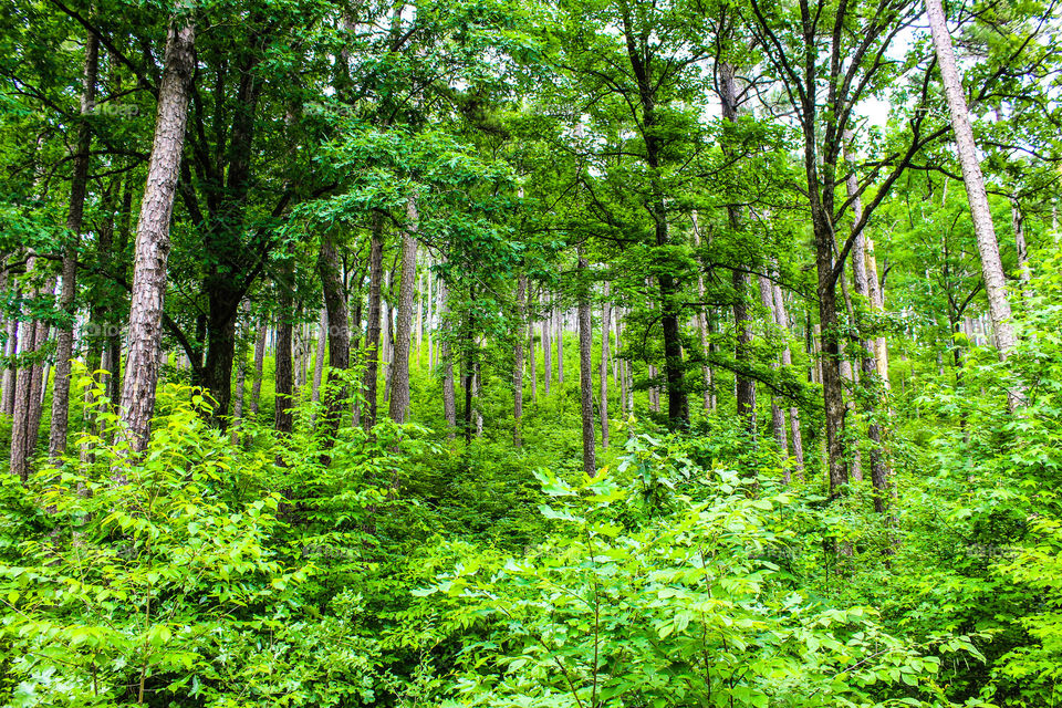 View from the bottom