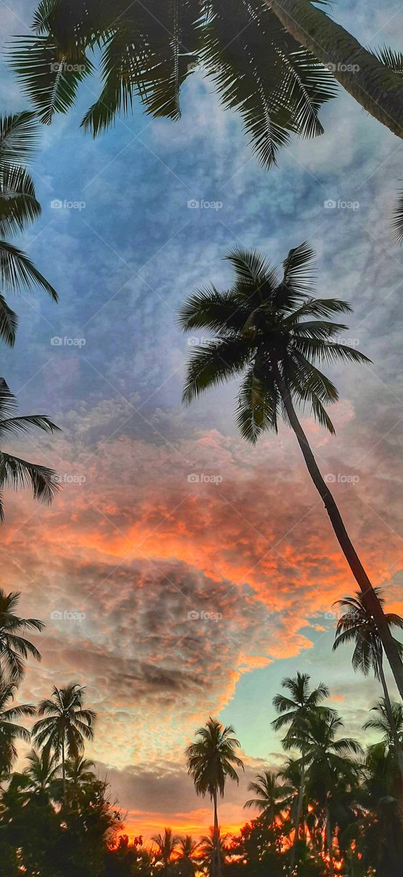 Beautiful evening sky with sunset