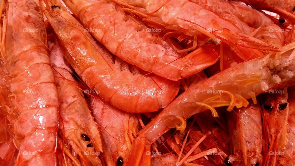 Prawns