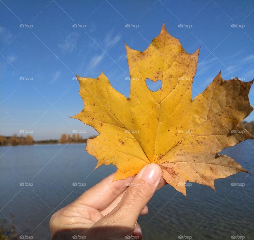 autumn leaf in the hand in sunlight, autumn time, beautiful autumn nature