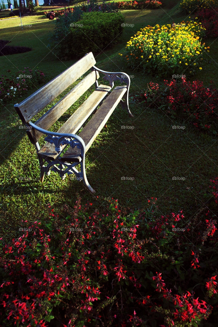 italy flower chair grass by giftzy