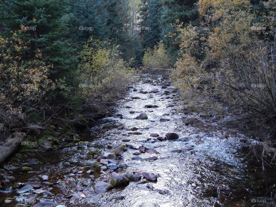 fall or autumn trail in mountains with river 
