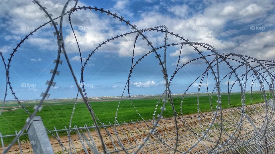 razor wire on the border fence