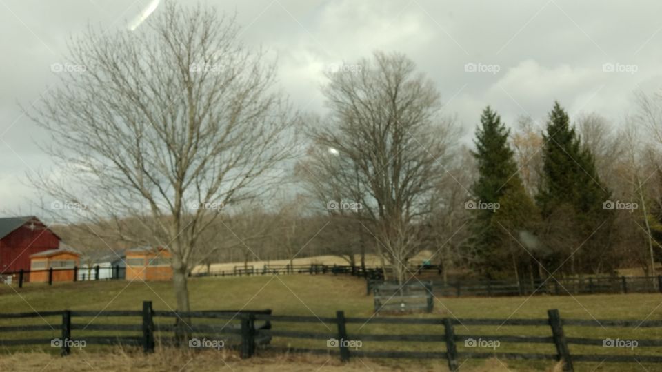 Tree, Landscape, Fence, No Person, Fall