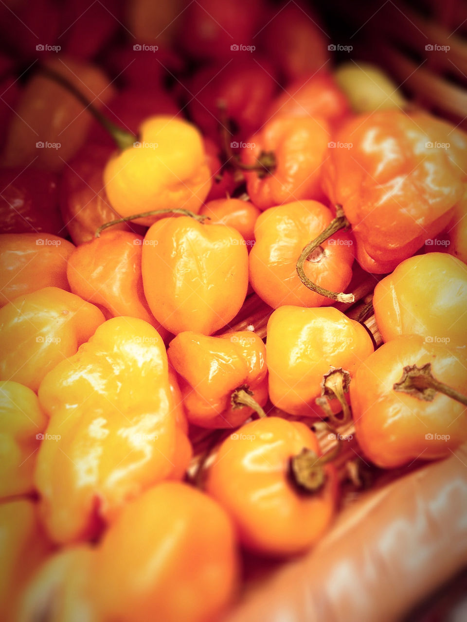 food orange peppers raw by bsa