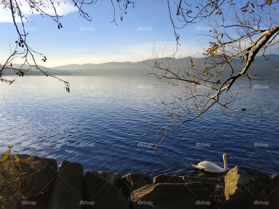 Ispra, Lago Maggiore, Italy