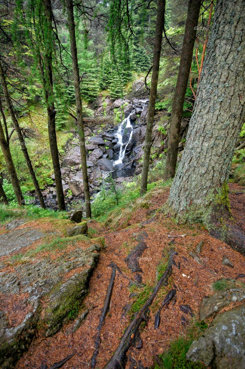 Waterfall in the woods