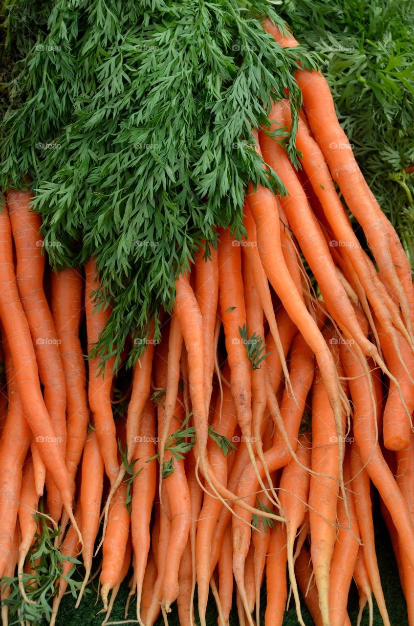 Carrots at the market in Antwerp.