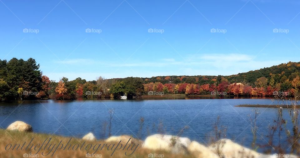 Reservoir in autumn 