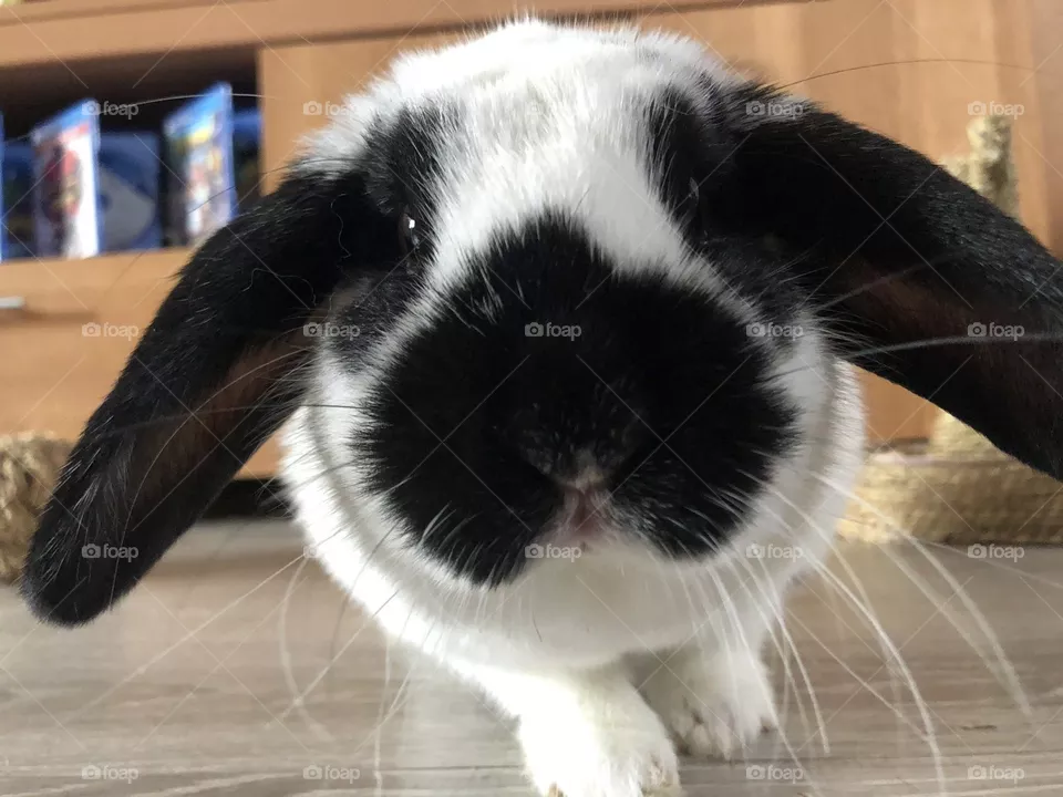 Yes ? What ?