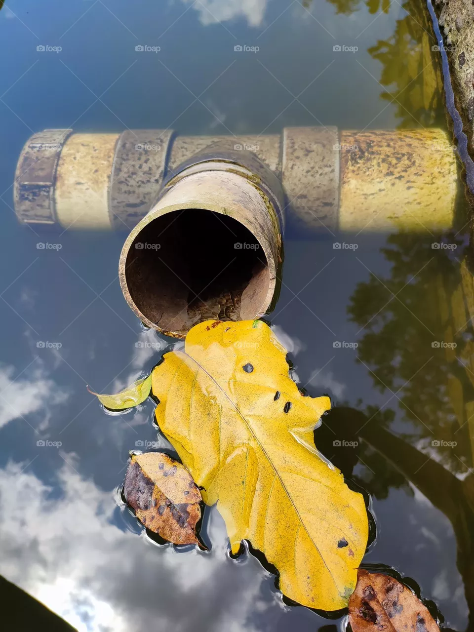 waterways