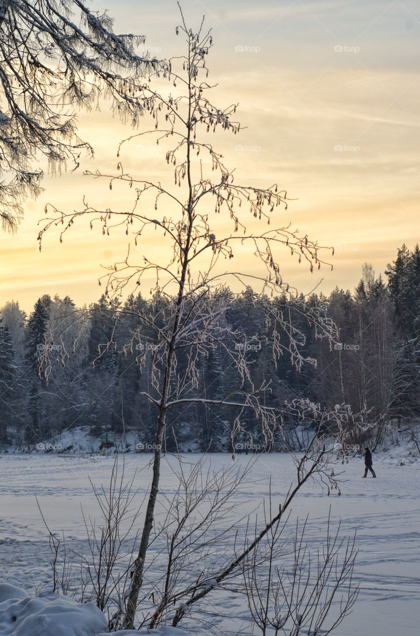 Winter season landscape. Evening time.