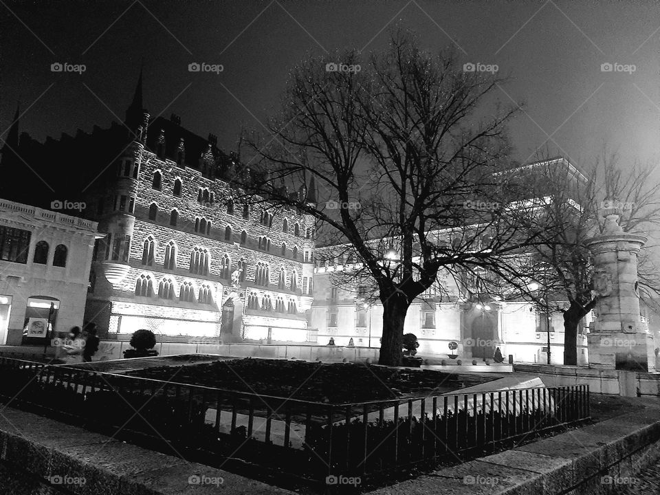 Casa de Botines y Palacio de Los Guzmanes, León, España