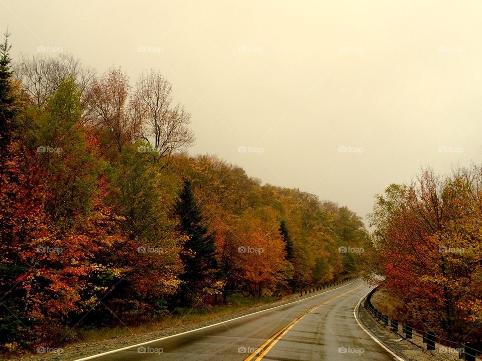 Empty road against clear sky