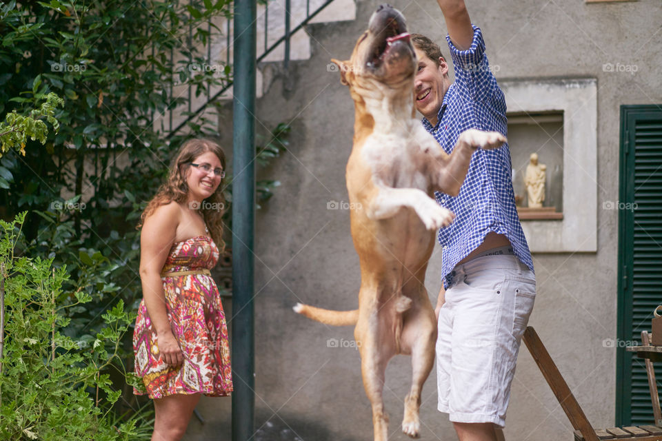 Young man playing with dog