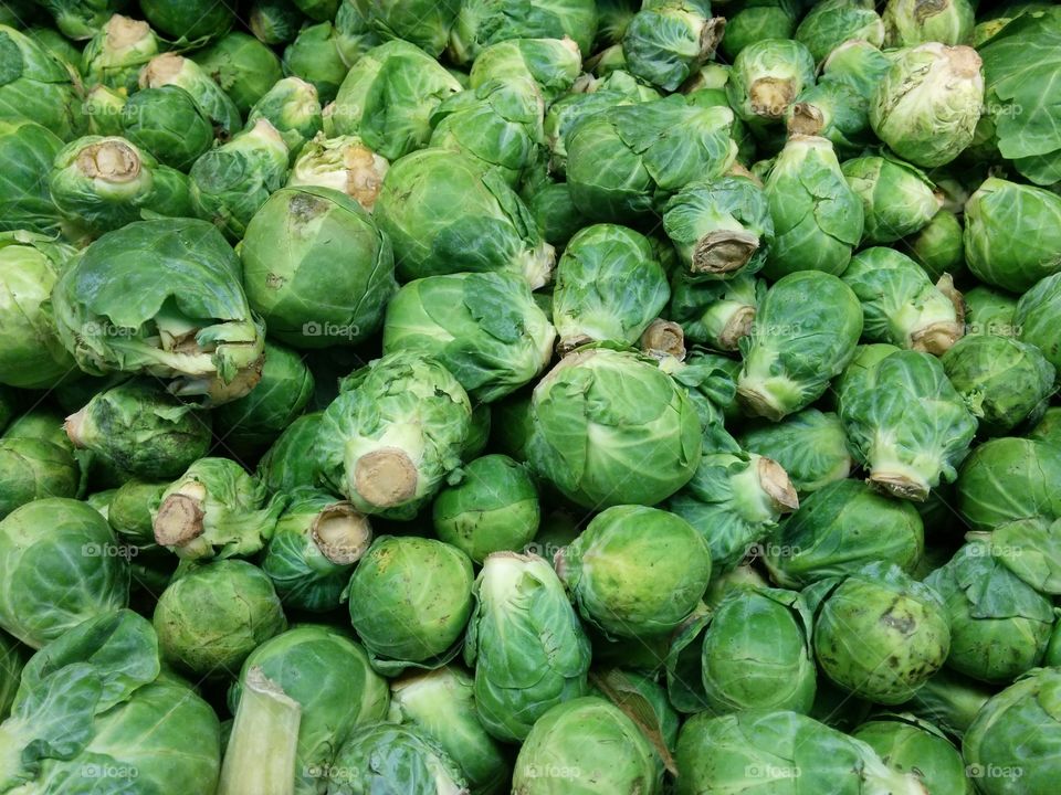 Brussel Sprouts