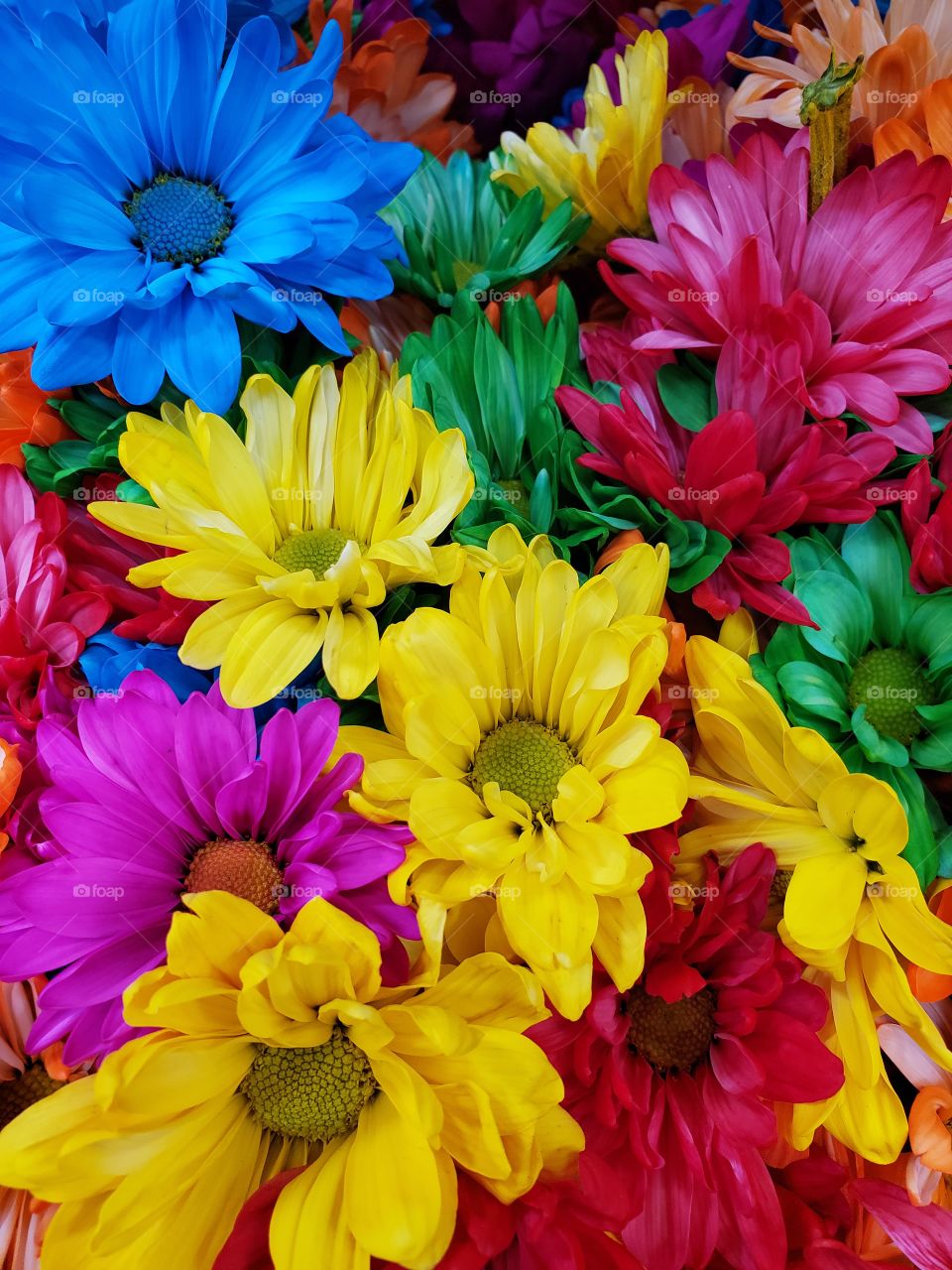 Early Spring Daisies at the neighborhood Florist!