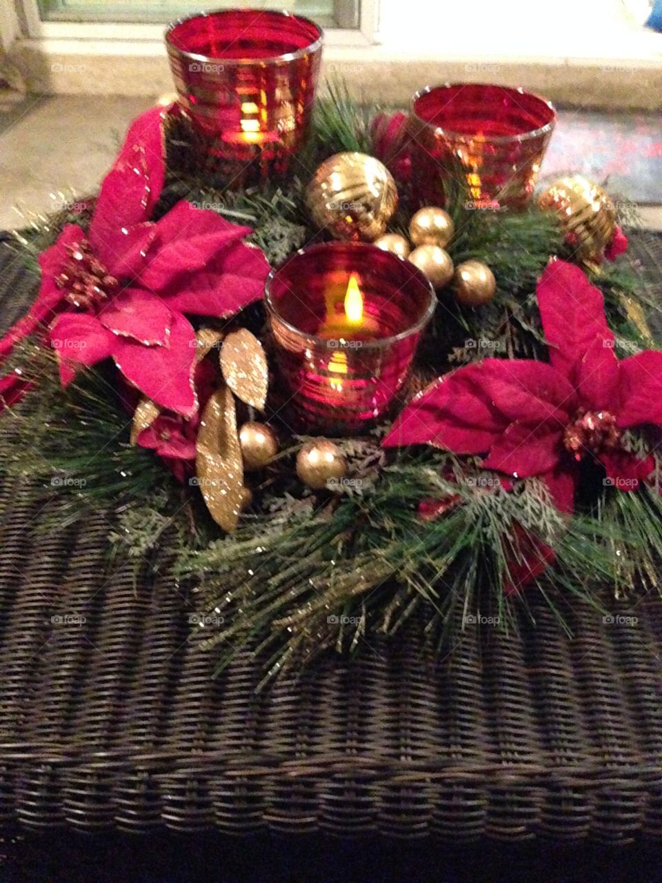 Red Flowering Plant

Published by:
HappyBrownMonkey 