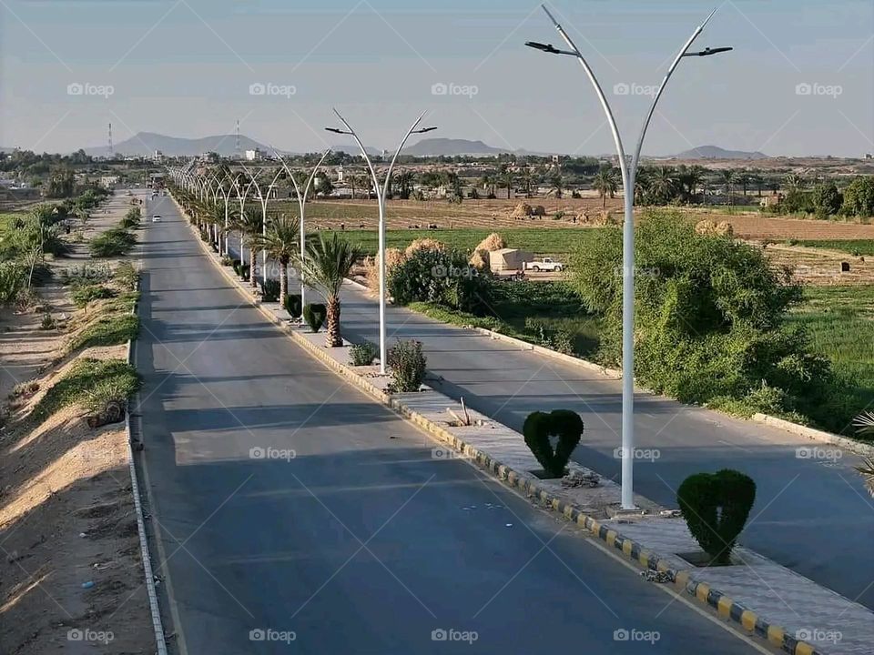 A very beautiful picture, and there is no better picture than it. There is no better picture of green herbs and colorful, red and white roses than it. Glory be to God, the natural and picturesque view, and there is no more