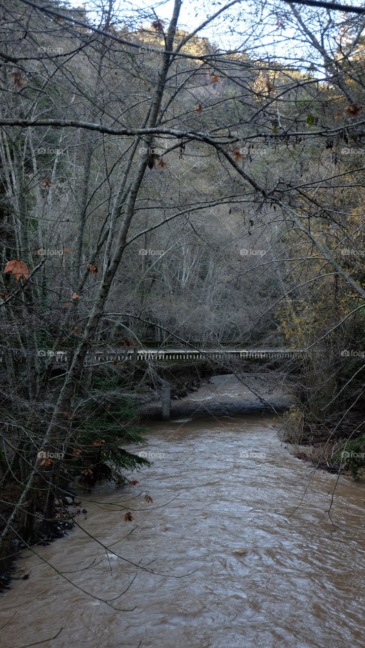 Water under the bridge