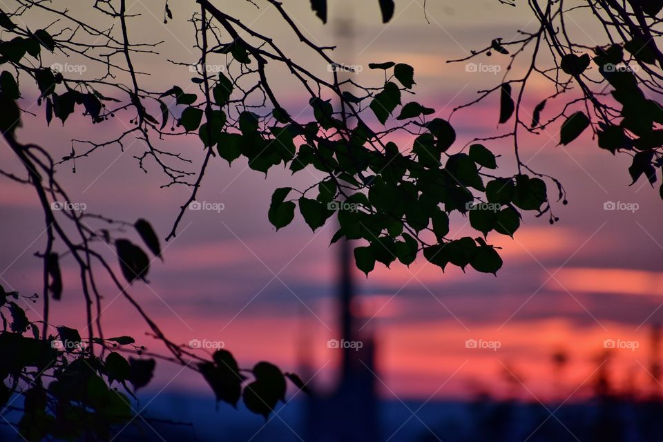 red sunset in the city - gdynia, poland