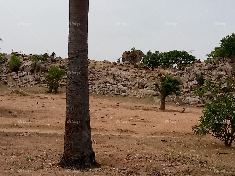 rocks gives us good weather during winter. the rock served as a hide out for many and are used in some places for building.