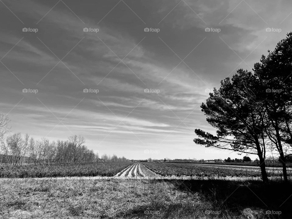 Beautiful Countryside...