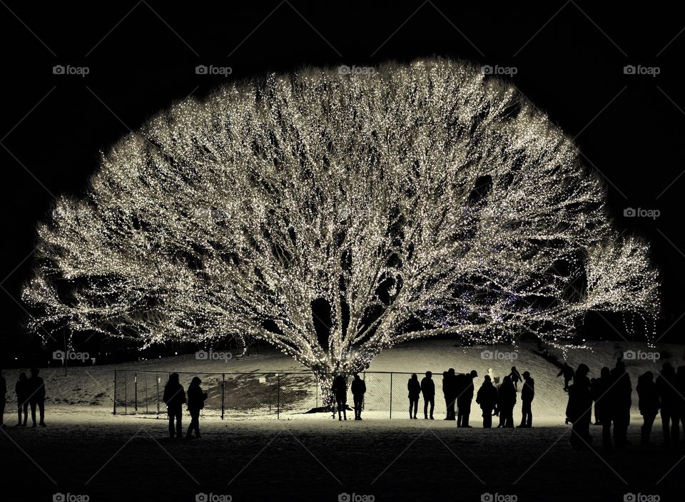 Silhouette, Infrared, Monochrome, Tree, People