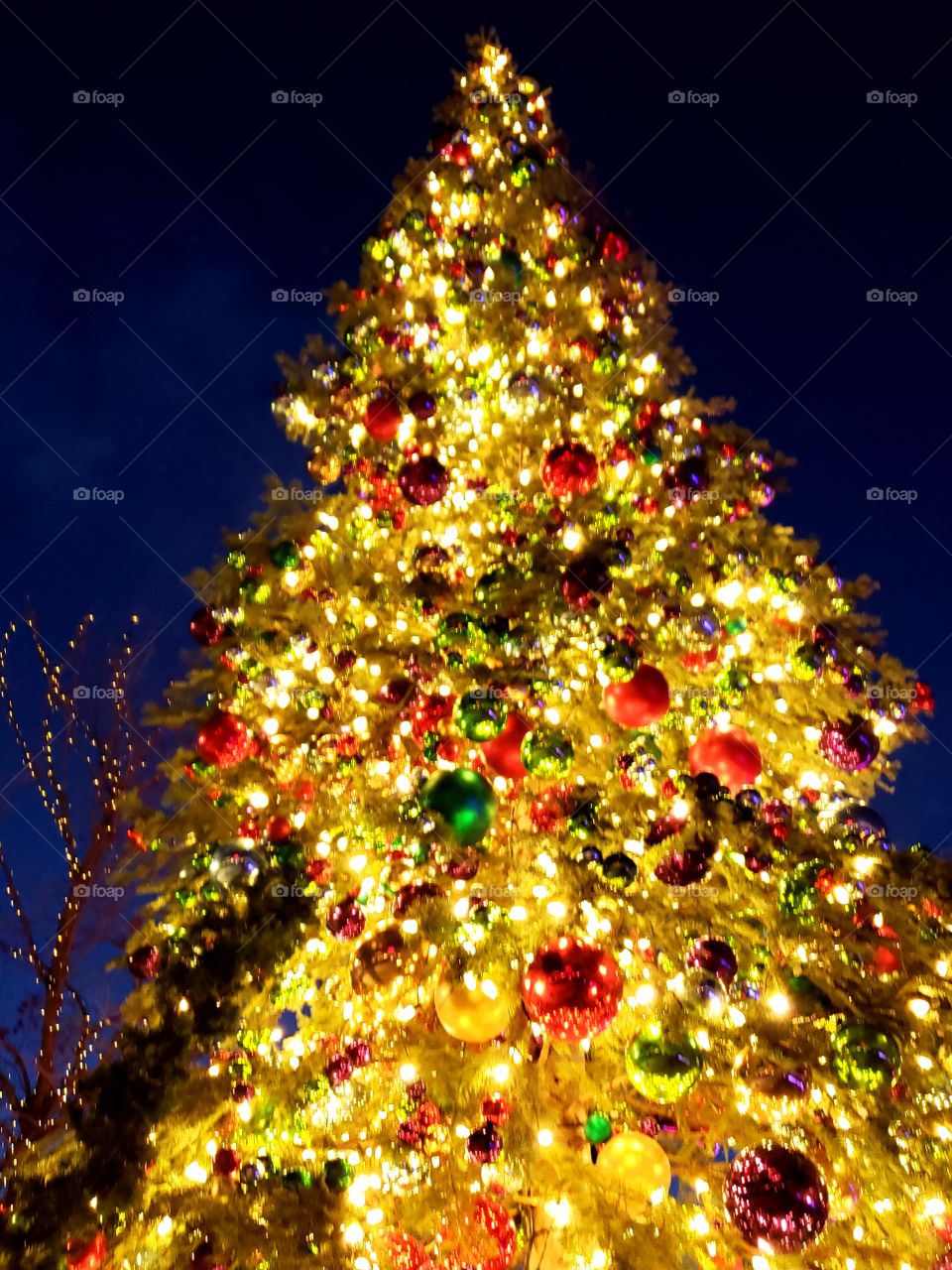 Christmas tree lights