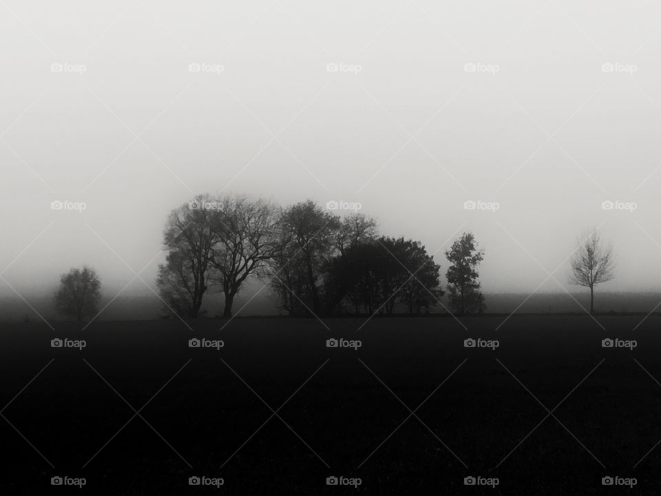 Fulfillment during a walk in absolute solitude and coldness creeps up in him...