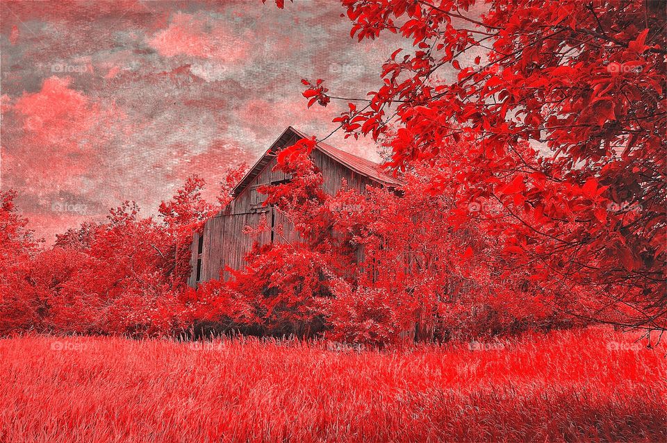 Barn in fall