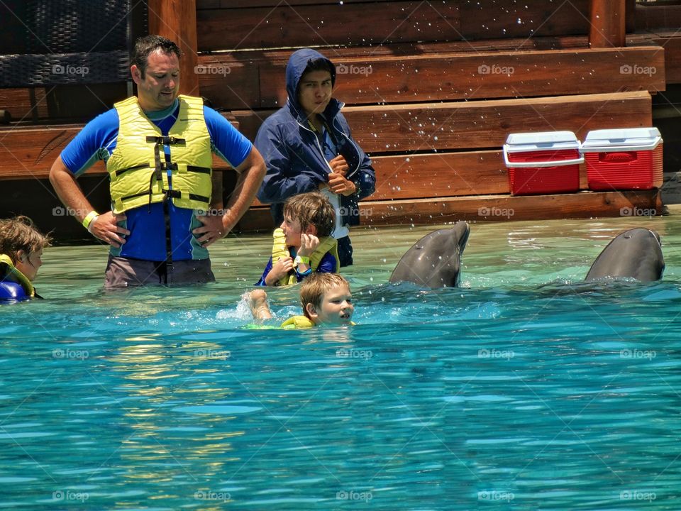 Kids Swimming With Dolphins