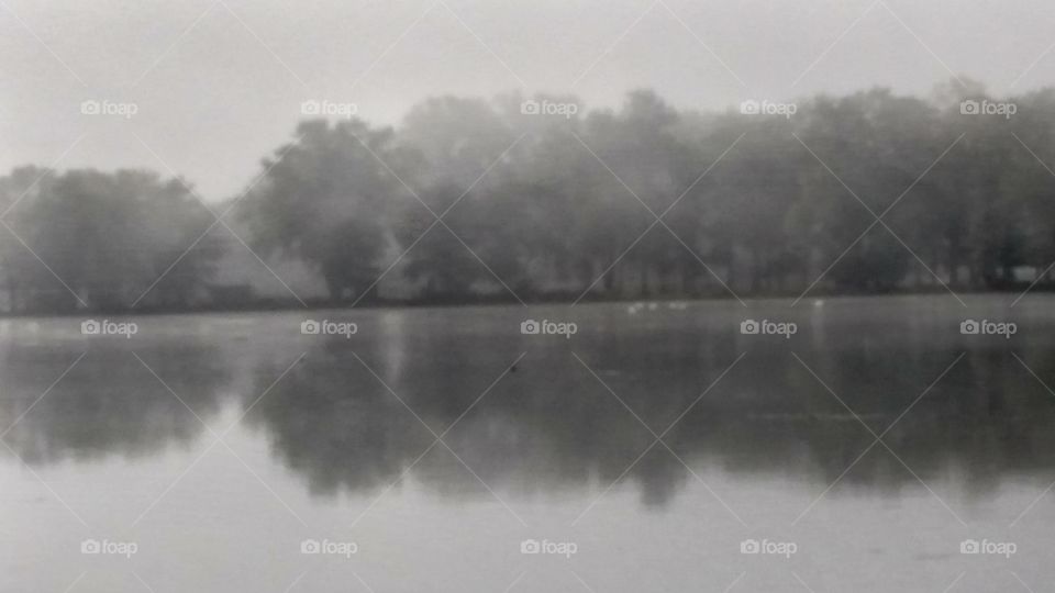 Fog on the Pond. early morning fog on Hanover Pond in South Meriden CT