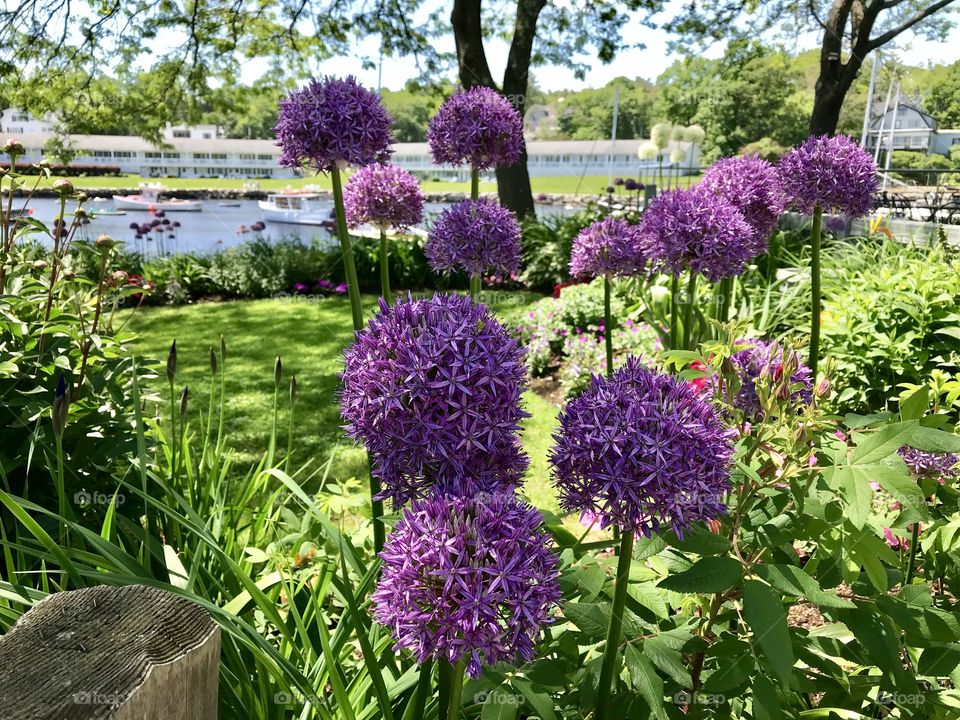 Ogunquit, ME