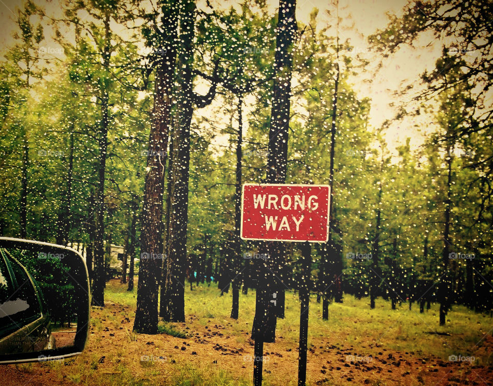 Driving the Wrong Way