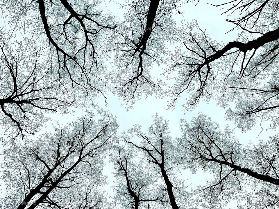 Winter is coming ❄️