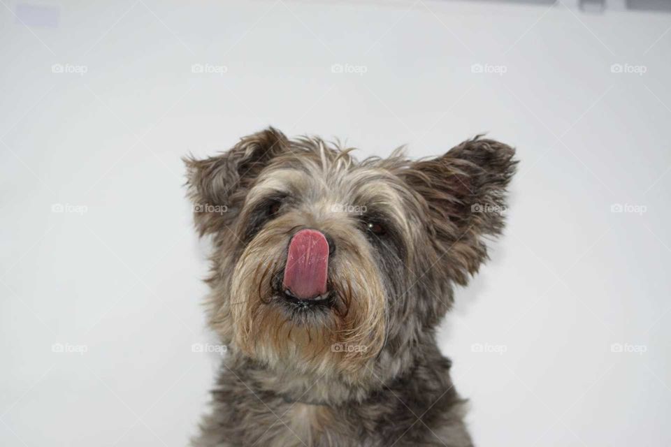 Alfie makes his feelings known